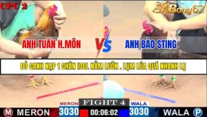 TRẬN 4 C2 16/5/2025