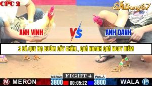TRẬN 4 C2 28/05/2025