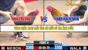 TRẬN 4 C3 21/05/2025