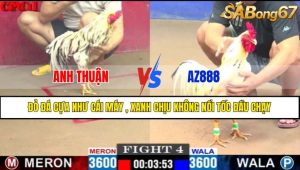 TRẬN 4 CPC1 1/5/2025