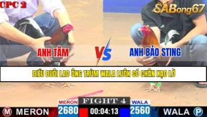 TRẬN 4 CPC2 4/5/2025