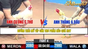 TRẬN 4 CPC3 6/5/2025