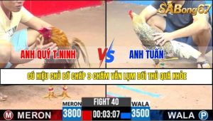 TRẬN 40 CPC3 6/5/2025