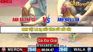 TRẬN 41 C1 15/5/2025