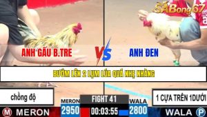 TRẬN 41 CPC3 6/5/2025