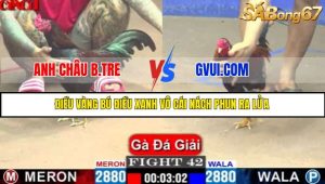TRẬN 42 C1 15/5/2025