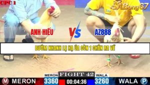 TRẬN 42 C1 29/05/2025