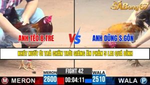 TRẬN 42 CPC3 11/5/2025