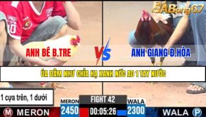 TRẬN 42 CPC3 13/5/2025