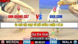 TRẬN 43 C1 15/5/2025