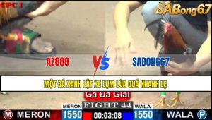 TRẬN 44 C1 26/05/2025
