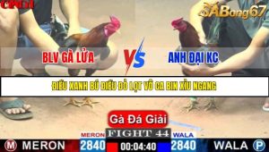 TRẬN 44 CPC1 15/5/2025