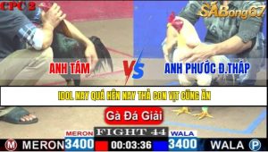 TRẬN 44 CPC2 4/5/2025