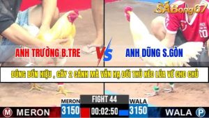 TRẬN 44 CPC3 1/5/2025