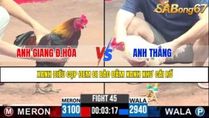TRẬN 45 CPC3 1/5/2025