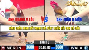 TRẬN 5 C3 18/5/2025