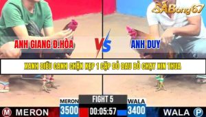 TRẬN 5 C3 22/05/2025