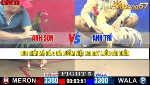 TRẬN 5 CPC1 2/5/2025