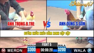 TRẬN 5 CPC3 10/5/2025