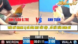TRẬN 5 CPC3 5/5/2025