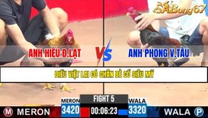 TRẬN 5 CPC3 6/5/2025