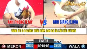 TRẬN 5 CPC3 8/5/2025