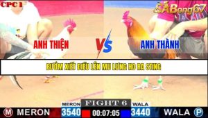 TRẬN 6 C1 22/05/2025