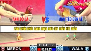 TRẬN 6 C2 28/05/2025