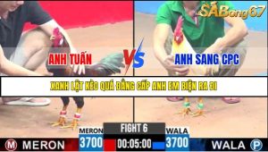 TRẬN 6 C3 18/5/2025