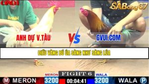 TRẬN 6 CPC1 10/5/2025