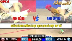 TRẬN 6 CPC1 8/5/2025