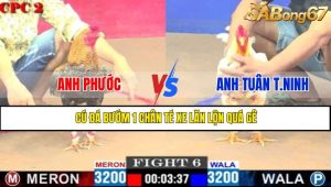 TRẬN 6 CPC2 14/5/2025