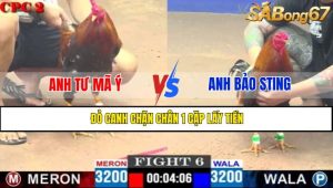 TRẬN 6 CPC2 4/5/2025