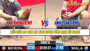 TRẬN 6 CPC3 11/5/2025
