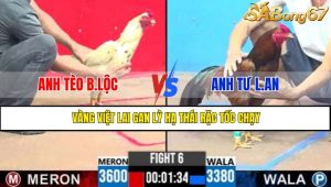 TRẬN 6 CPC3 7/5/2025