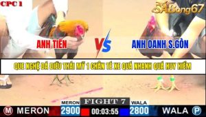 TRẬN 7 C1 22/05/2025
