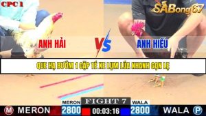 TRẬN 7 C1 29/05/2025