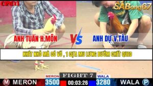 TRẬN 7 CPC1 2/5/2025