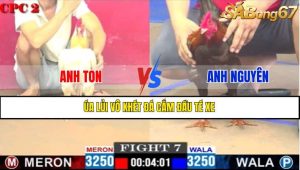 TRẬN 7 CPC2 14/5/2025