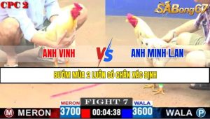 TRẬN 7 CPC2 4/5/2025