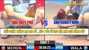 TRẬN 7 CPC3 1/5/2025