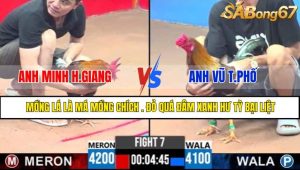 TRẬN 7 CPC3 11/5/2025