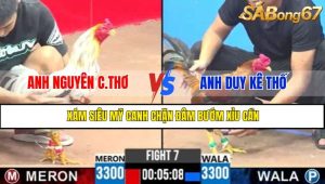 TRẬN 7 CPC3 5/5/2025
