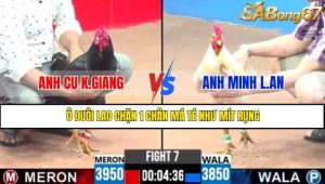TRẬN 7 CPC3 9/5/2025