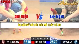 TRẬN 8 C1 15/5/2025