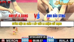 TRẬN 8 C2 16/5/2025
