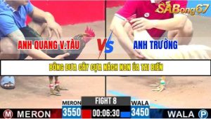 TRẬN 8 C3 31/5/2025