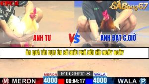 TRẬN 8 CPC1 13/5/2025