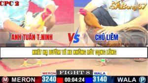 TRẬN 8 CPC2 14/5/2025