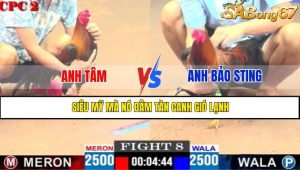 TRẬN 8 CPC2 4/5/2025